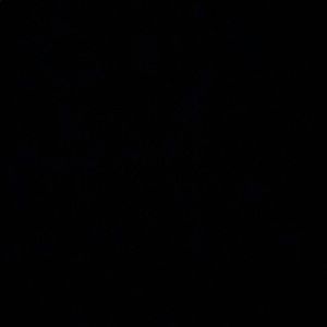 Meet your Posher, Luke